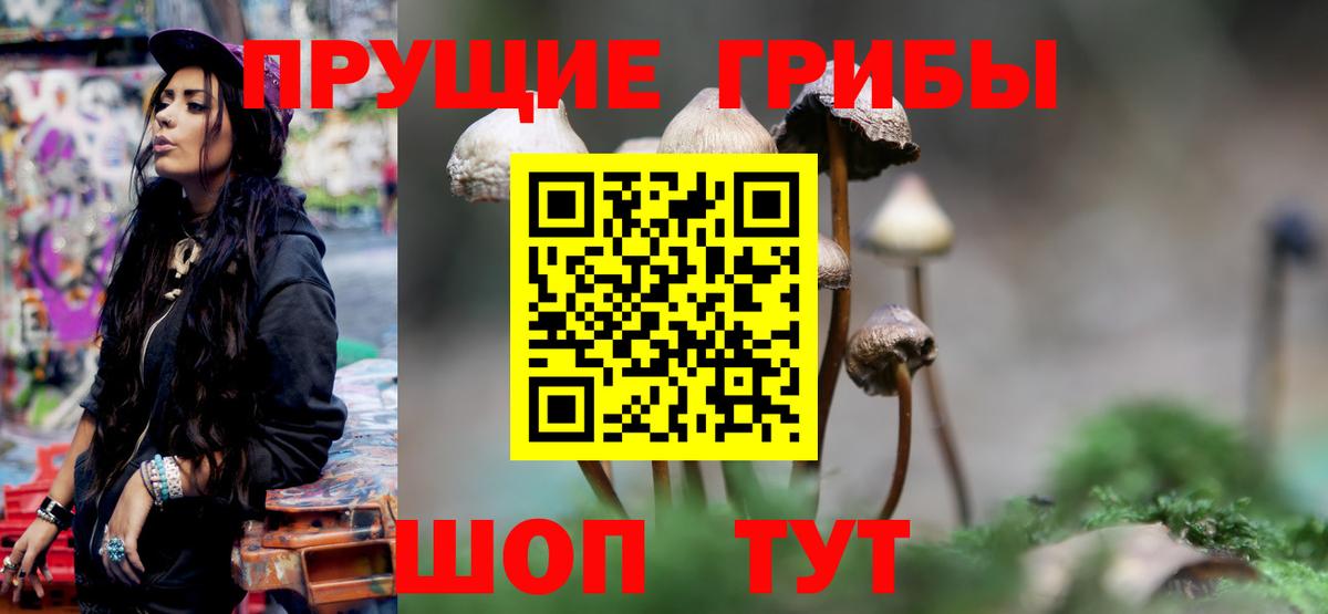Галлюциногенные грибы Cubensis Арзамас